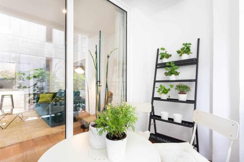 Sabino Dreams Santa Cruz Apartman Kültér fotó